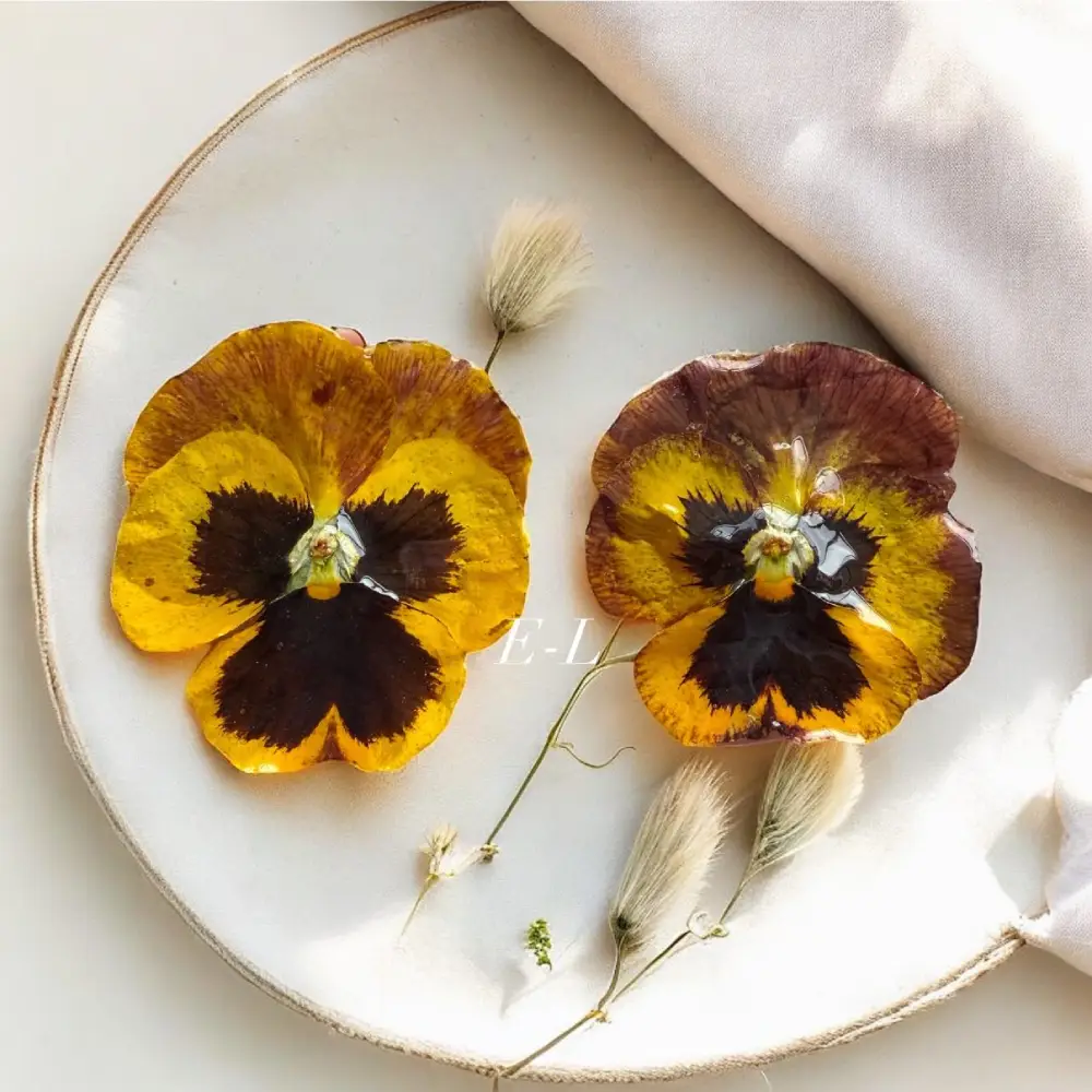 Boucles d’oreilles florales en résine avec véritables pensées jaunes et brunes pressées, création artisanale faite main par L’Atelier d'Emy-Lys.